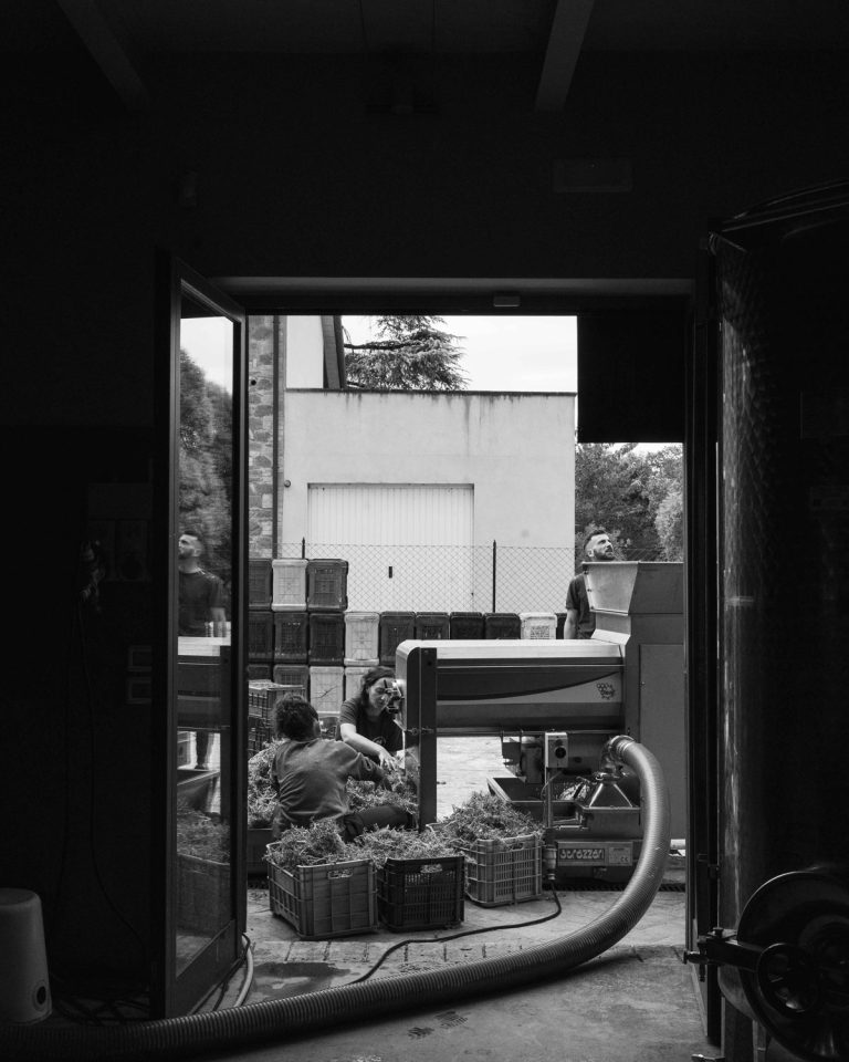 Vendemmia0924_030